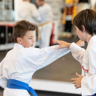 Dübendorf News, Karate, Krav Maga, Selbstverteidigung, Aroha, Fitness, Disziplin, Respekt, Lebensschule, Verteidigung, Kämpfen, Dübendorf Karate, Kinder Karate, Kindergarten Kinder, Jugendliche, Erwachsenen Karate, Lebensschule, Lifeskills, Kampfsport, Karate Training, Selbstverteidigung, Krav Maga, Zürich, Dübendorf, Fällanden, Uster, Wallisellen, Dietlikon, Selbstschutz, Karate, Kung Fu, Judo, Erwachsenen Selbstverteidigung, 8600, 8001, 8117, 8606, Volketswil, Kampfkunst, Kampfsport, 8304, 8605, Krav Maga 360, Bruce Lee, Chuck Norris, Mobbing, Stop Mobbing, Kindergeburtstag, Kampfkunst Party, Aroha, Fitness, QiGong, Qi-Gong, Taichi, Arnis, MMA, JuJitsu, Brasilien JuJitsu, Ferien Camps, Shitoryu, Shukokai, Shitokai, Gojuryu, Shotokan, Wadoryu, Kyusho, Kyusho Jitsu, Dillman, Paul Bowman, Pressure Points, Basel, Solothurn, Bern, Schweiz, Switzerland, Wild Goose Qigong, Dayan, Mixed Martial Arts, Probestunde, Trial Lesson